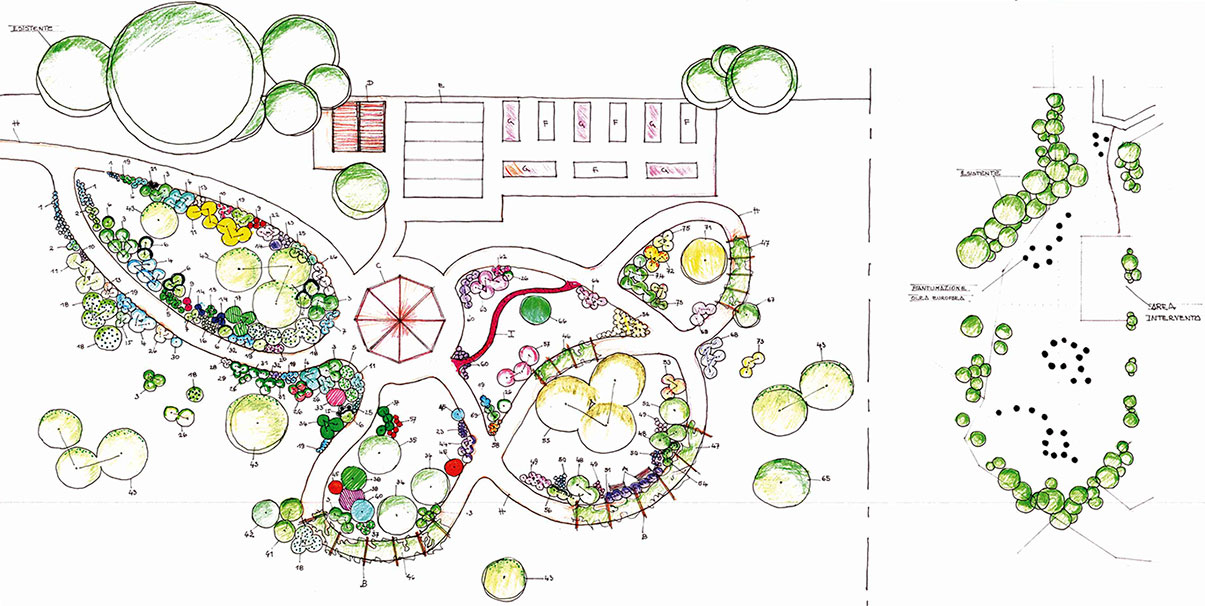 Un giardino per diventare grandi Piantina Progetto